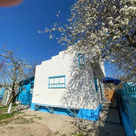 הוילה יורילובקה Casa Bunicilor Granny'S House מראה חיצוני תמונה