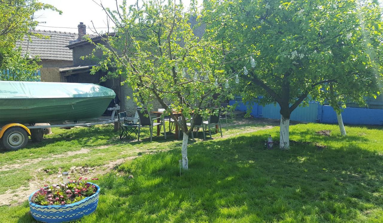 הוילה יורילובקה Casa Bunicilor Granny'S House מראה חיצוני תמונה