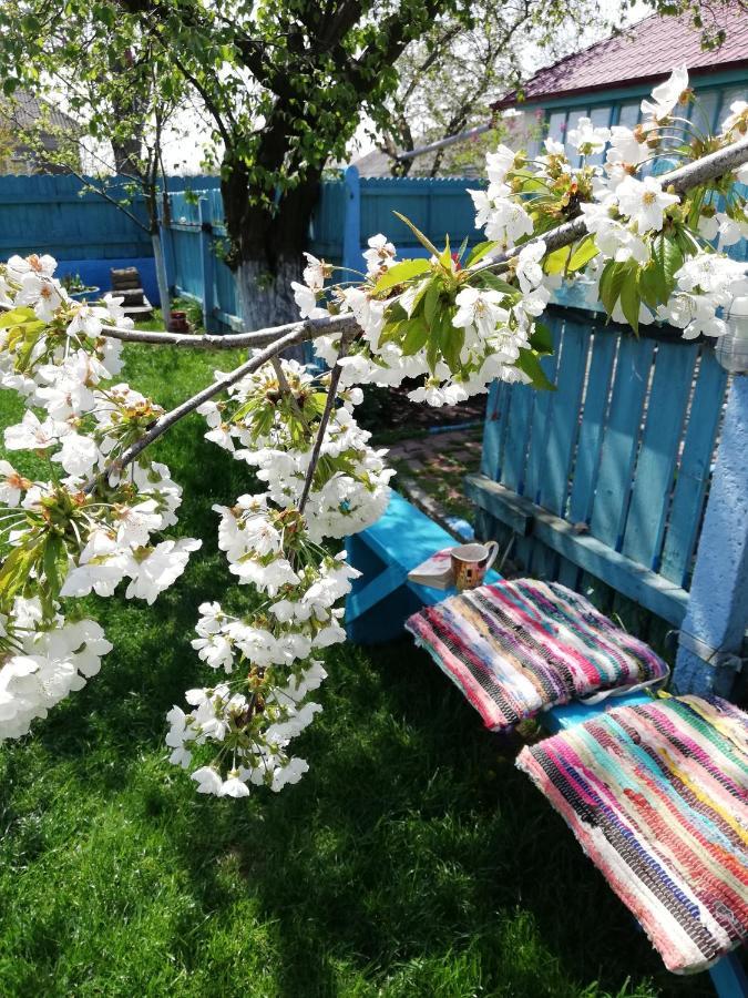 הוילה יורילובקה Casa Bunicilor Granny'S House מראה חיצוני תמונה