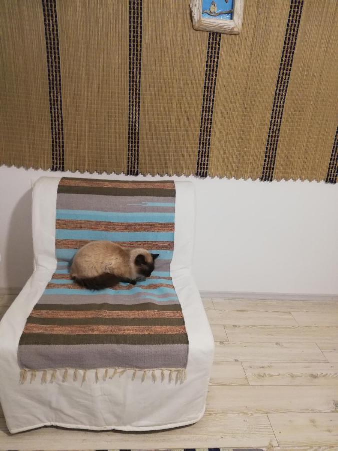 הוילה יורילובקה Casa Bunicilor Granny'S House מראה חיצוני תמונה