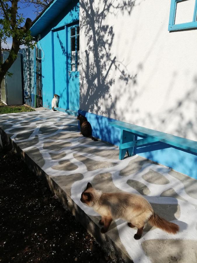 הוילה יורילובקה Casa Bunicilor Granny'S House מראה חיצוני תמונה