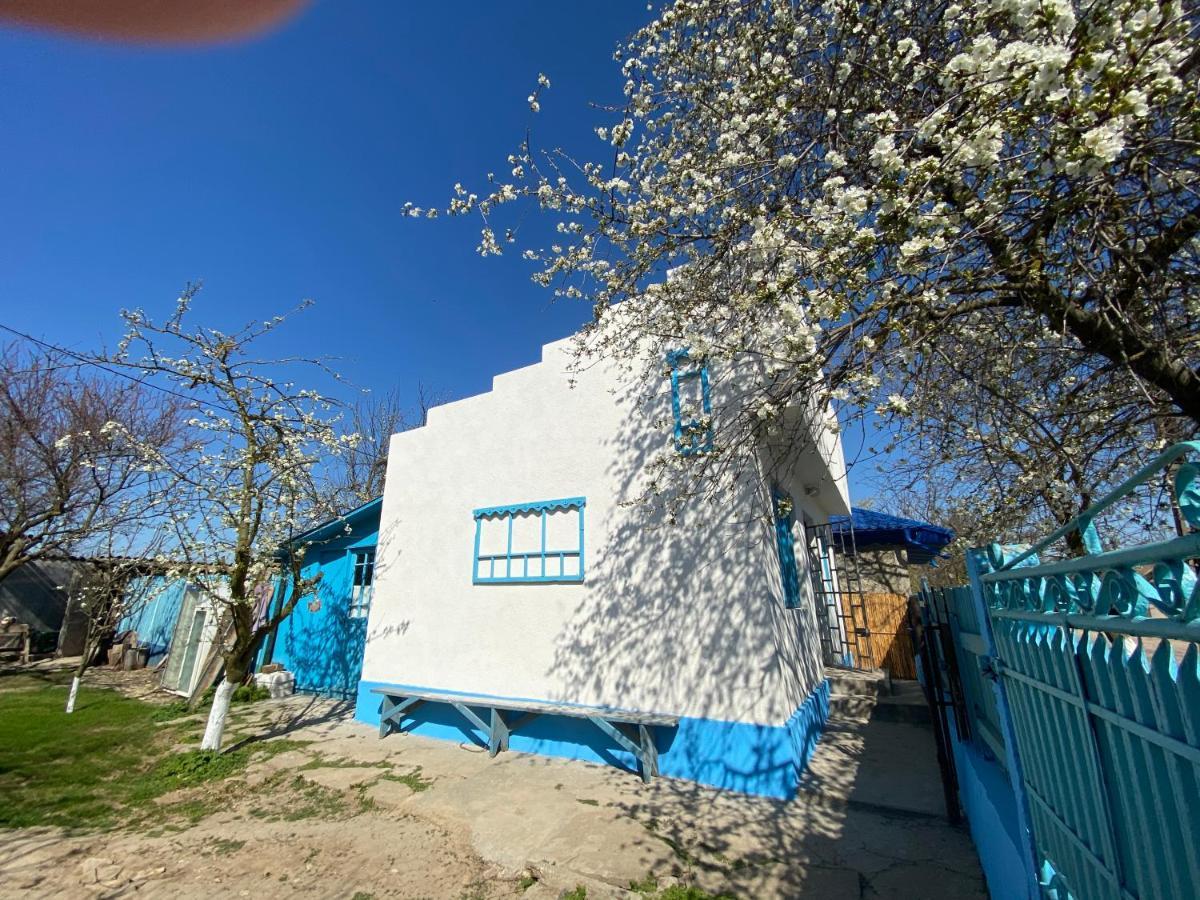 הוילה יורילובקה Casa Bunicilor Granny'S House מראה חיצוני תמונה