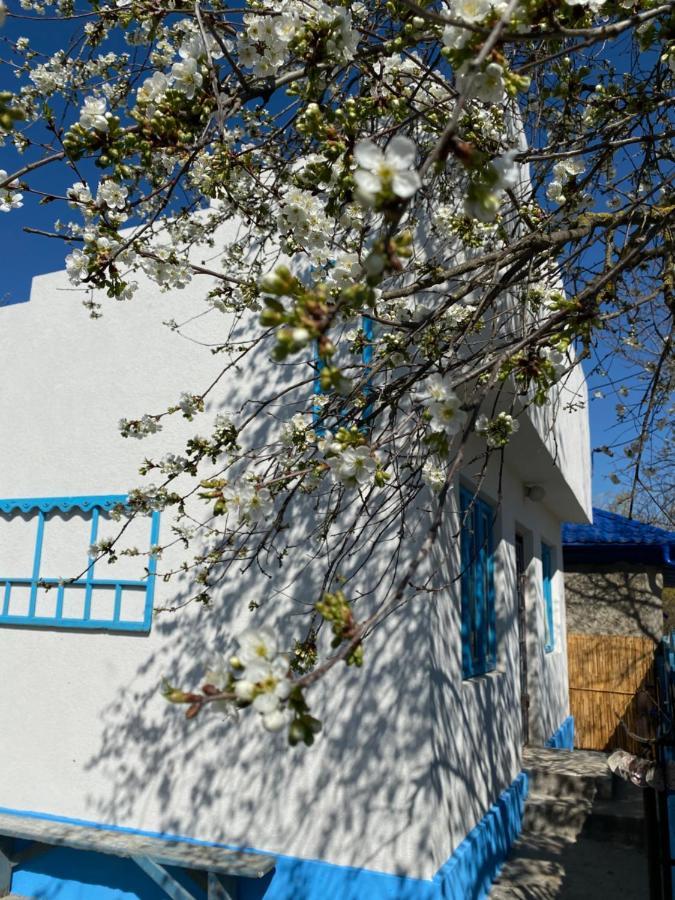 הוילה יורילובקה Casa Bunicilor Granny'S House מראה חיצוני תמונה