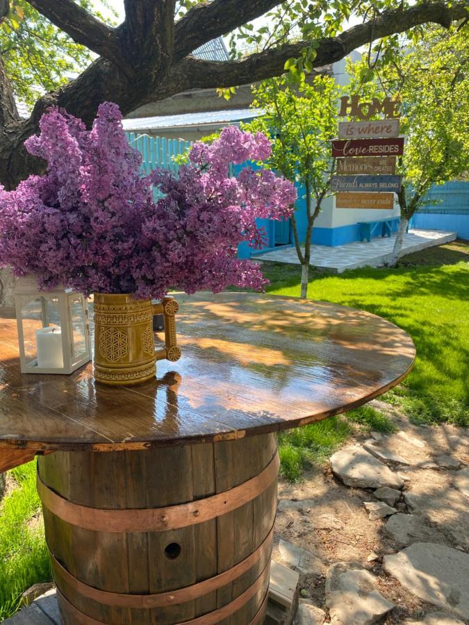 הוילה יורילובקה Casa Bunicilor Granny'S House מראה חיצוני תמונה