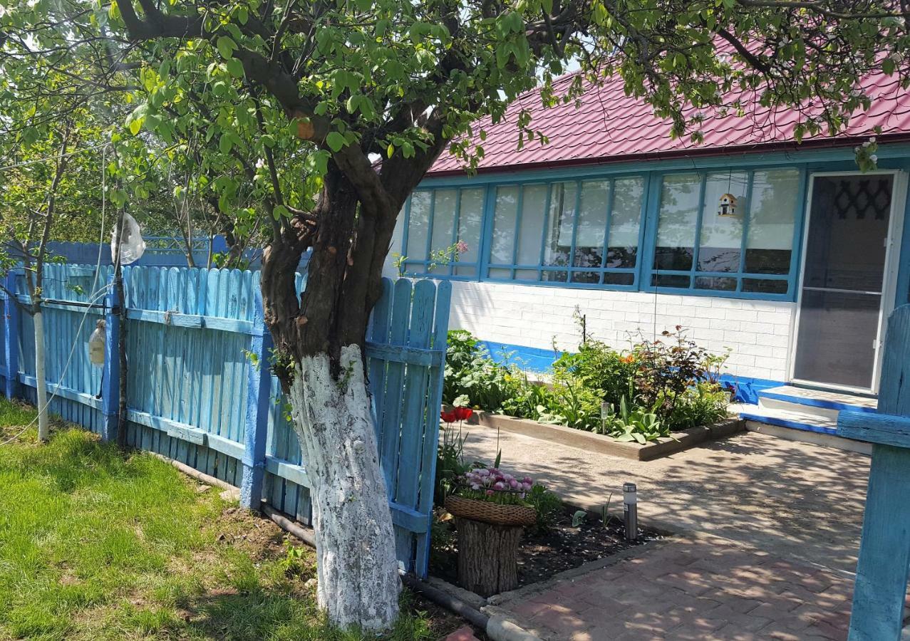 הוילה יורילובקה Casa Bunicilor Granny'S House מראה חיצוני תמונה