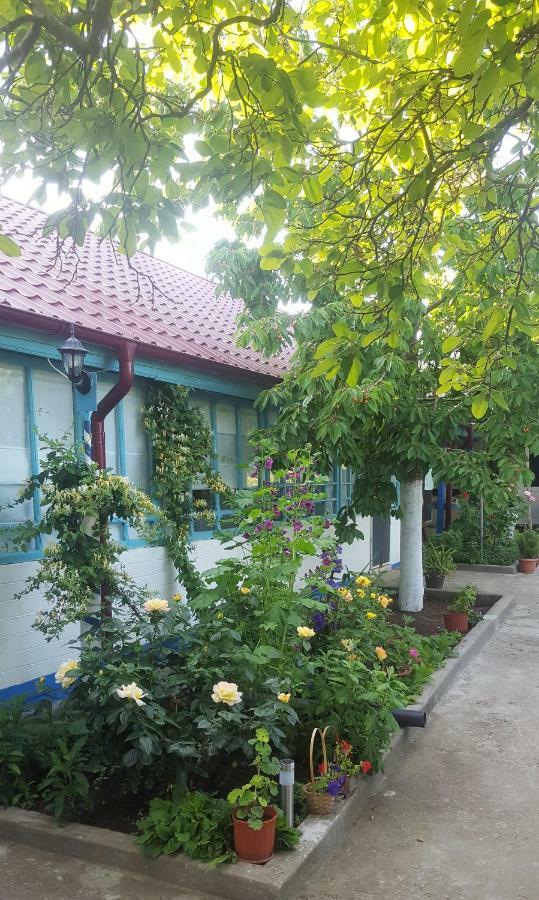 הוילה יורילובקה Casa Bunicilor Granny'S House מראה חיצוני תמונה