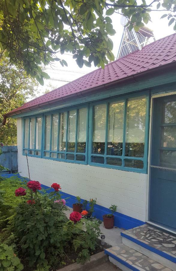 הוילה יורילובקה Casa Bunicilor Granny'S House מראה חיצוני תמונה