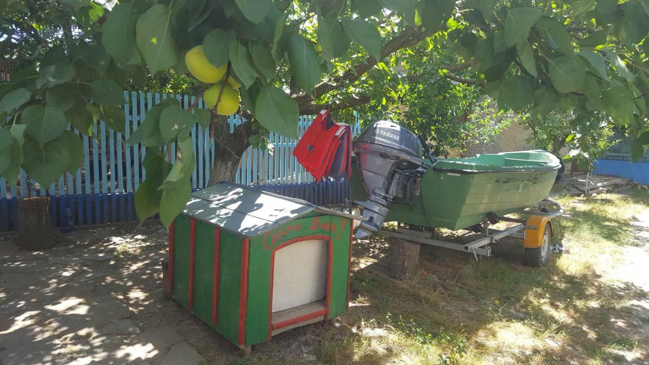 הוילה יורילובקה Casa Bunicilor Granny'S House מראה חיצוני תמונה